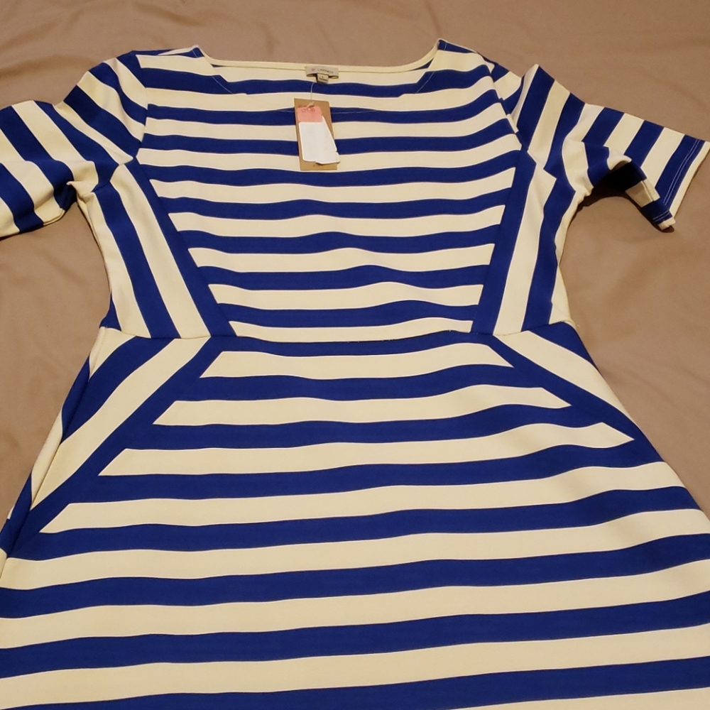 ladies dress